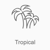 Record Tropical